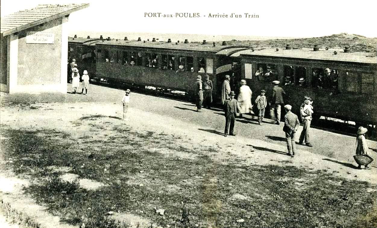 Port aux poules 101.jpg